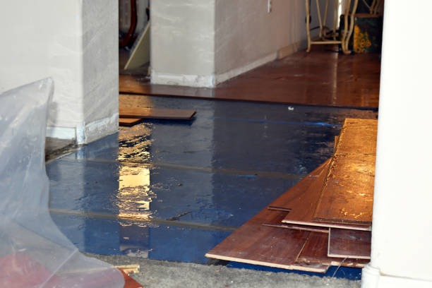Professional Water Damage Restoration technician working in Isle, MN